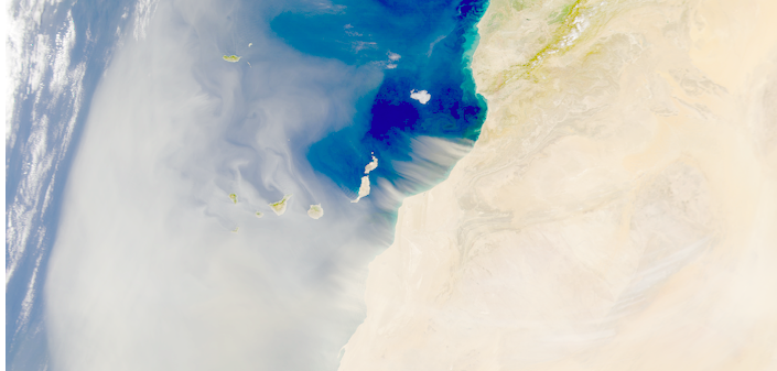 Saharan Dust over the Canary Islands, Feb. 11, 2001 (SeaWiFS)